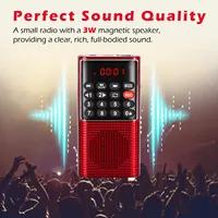 Mini Portable Pocket FM Radio Number key Handheld MP3 Walkman Radios Walkman Go Hiking