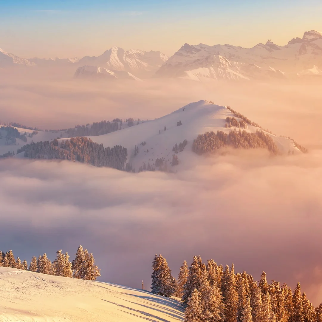 

Новинка 2025 года для Porsche Cayenne 2018-2023, Android второй пилот, смарт-экран, мультимедийный плеер, беспроводной развлекательный головной прибор CarPlay