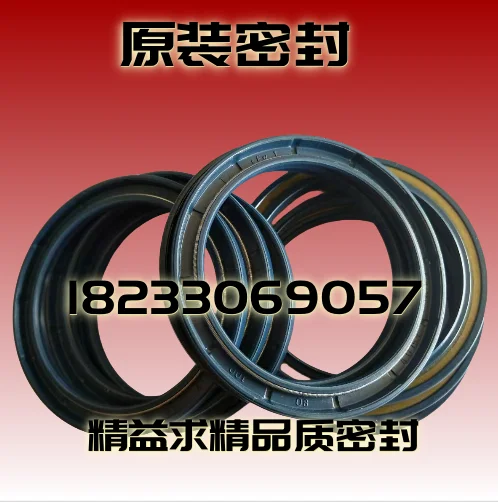 FOR Germany imported CFW skeleton oil seal BAU5SLX2 70-90-10 95-145-13 82-160-13/10