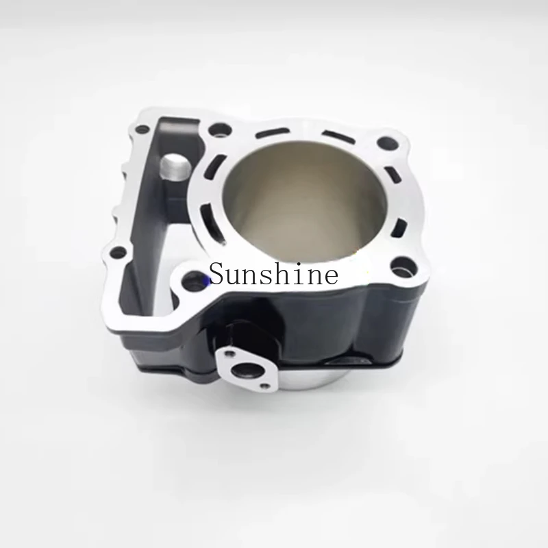 

Long Promise 300R RR AC GY DS Cylinder Block KLX250 Modified YF300 Engine Cover
