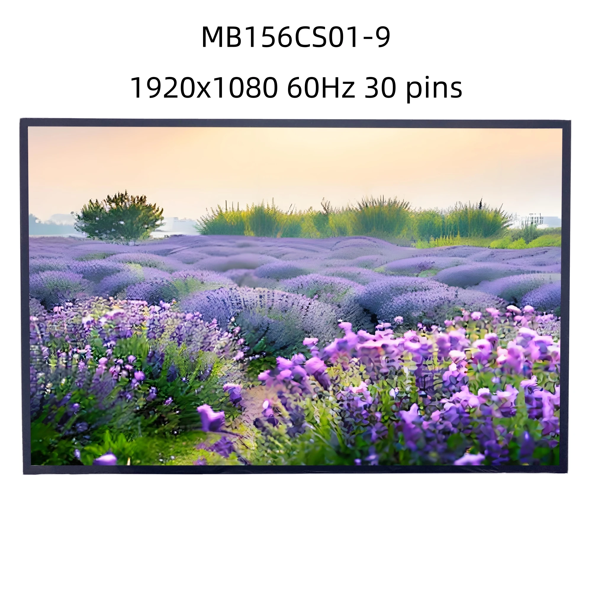MB156CS01-9 Laptop Matrix LED Screen Replacement IPS 1920x1080 30 pins 15.6 inch LCD Display Panel EDP