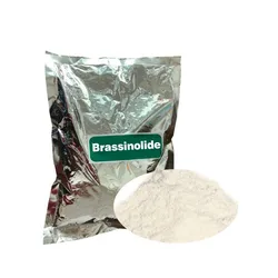 Natural Brassinolide 0.15%SP BR Plant Growth Regulator Homobrassinolide Brassinosteroid