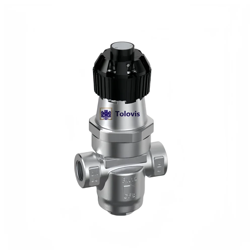 Trovis durable TSBRV Direct acting steam reducing valve Bellows pressure reducing valve Steam water pressure BSPT NPT thread