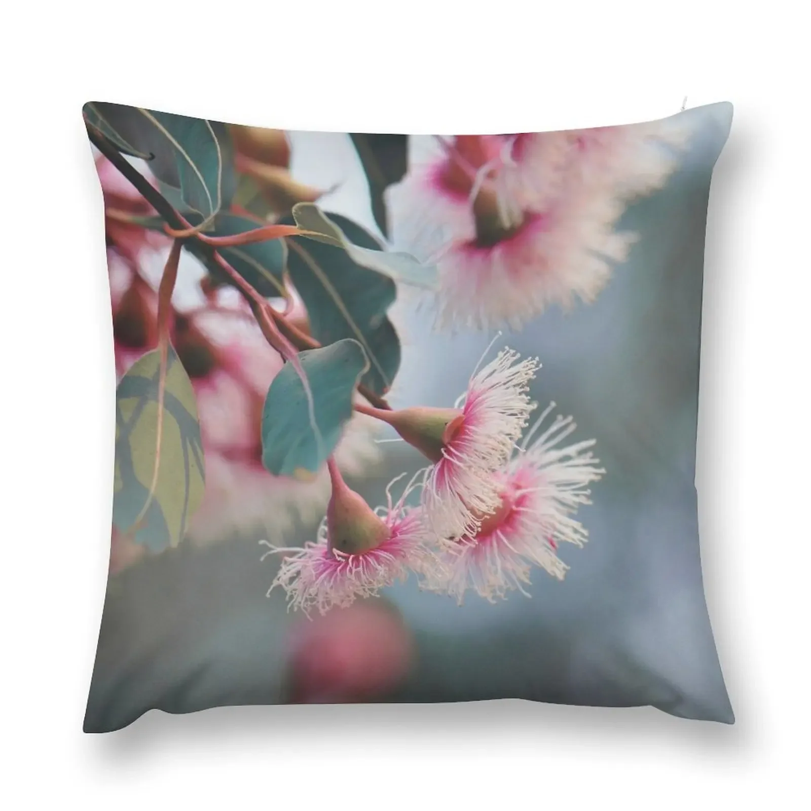 Corymbia Fairy Floss #5 Throw Pillow Sofa Cushions Covers Pillow Cases Decorative pillow