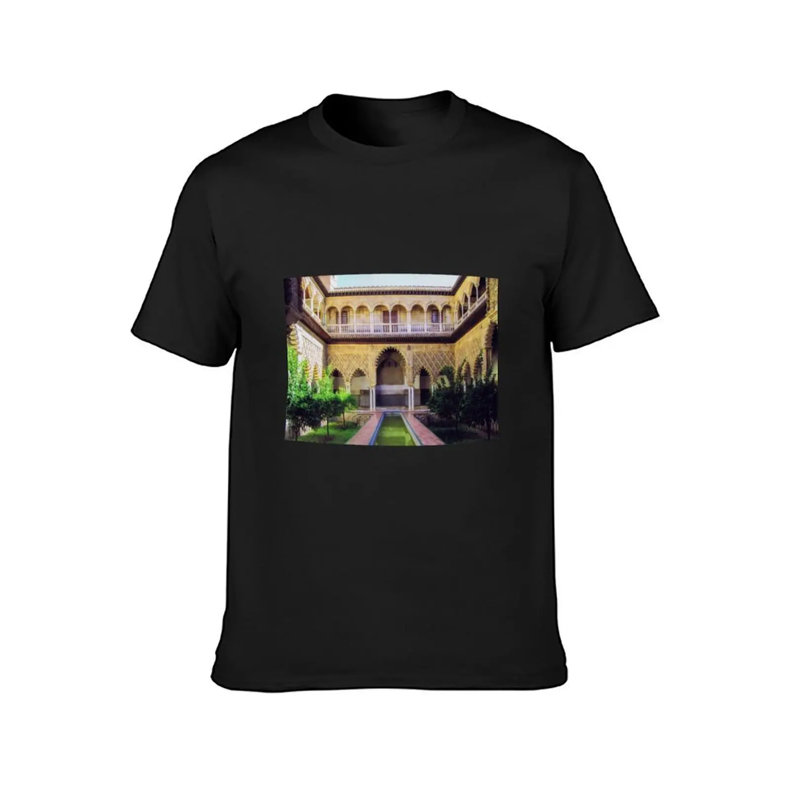 Pond in the Alcazar palace in Seville T-Shirt anime anime clothes shirts graphic tees plain t shirts men