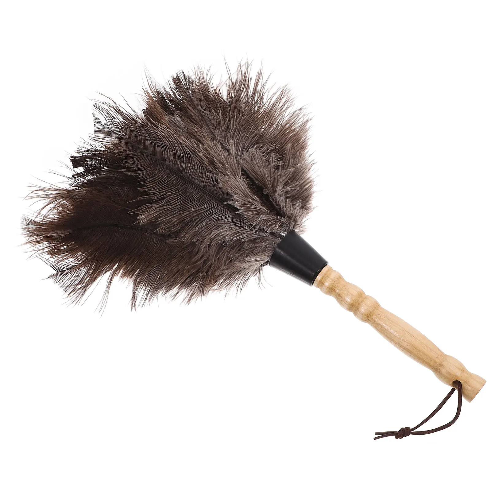 

Ostrich Reusable Handheld Cleaning Tool for Home Office Desk Long Handle Straight Hair Dusting Brush