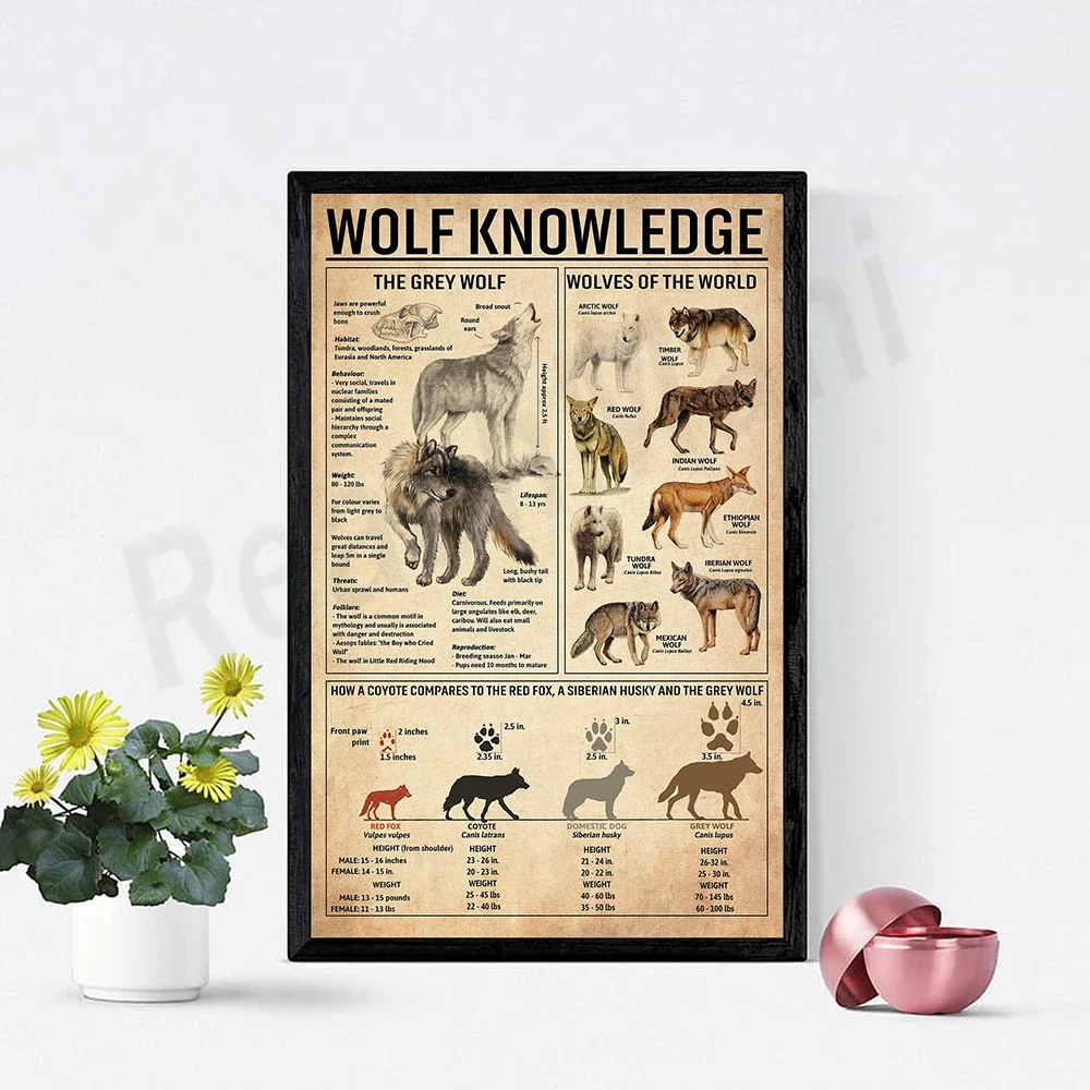 

Wolf Knowledge Posters, Wolf Types, Wolves of the World, Wolf Art Prints, Wolf Wall Art, Wolf Lover Gifts, Wolf Gifts