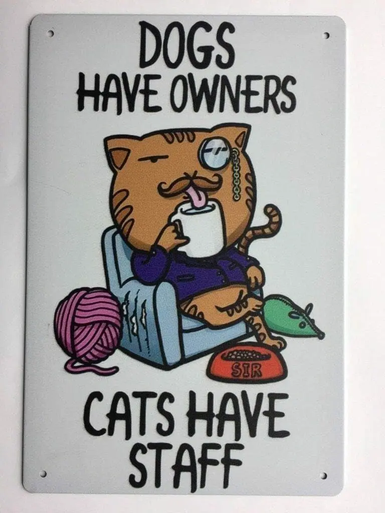 Tactical Funny Sarcastic Metal Tin Sign Wall Decor Picture Dogs Have Owners Cat's Have Staff TS153 sign