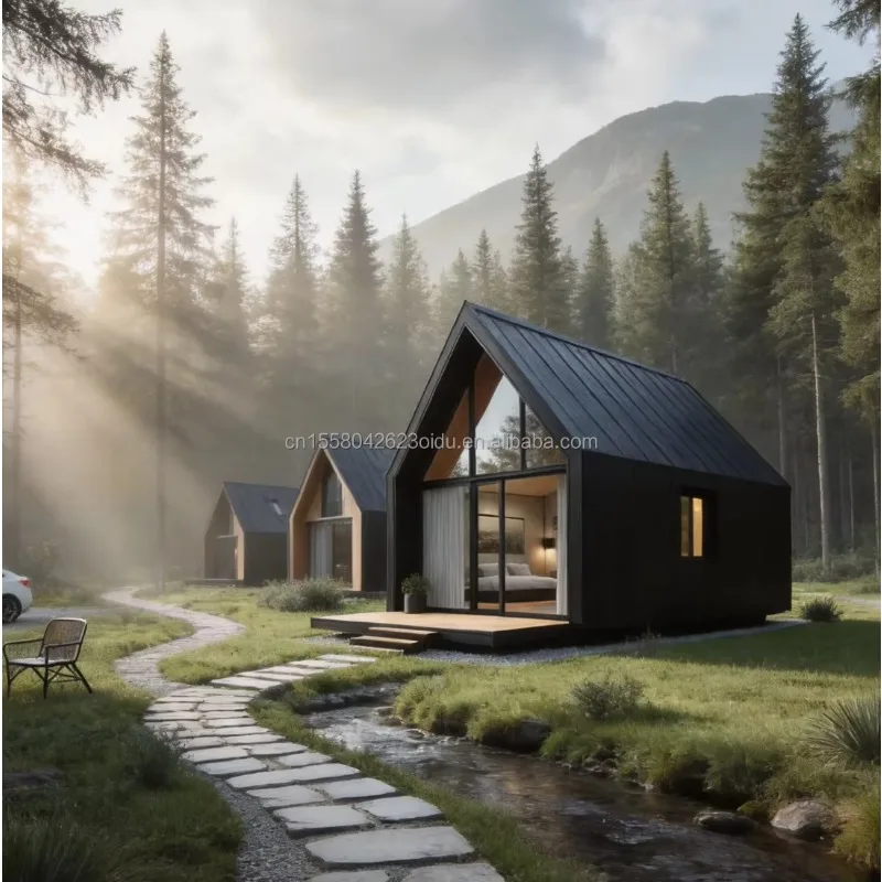 Luxury 20ft Prefabricated Wooden Triangular Steel Structure Tiny House EU Forest Housing with Bathroom & Gym Sale