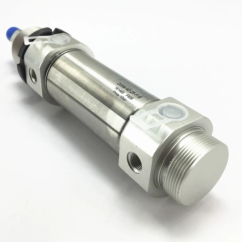 

cylinder DSW-32-25 50 75 100 125 150 200-P-PPV-B Stainless steel mini cylinder DSW series Pneumatic components air tools