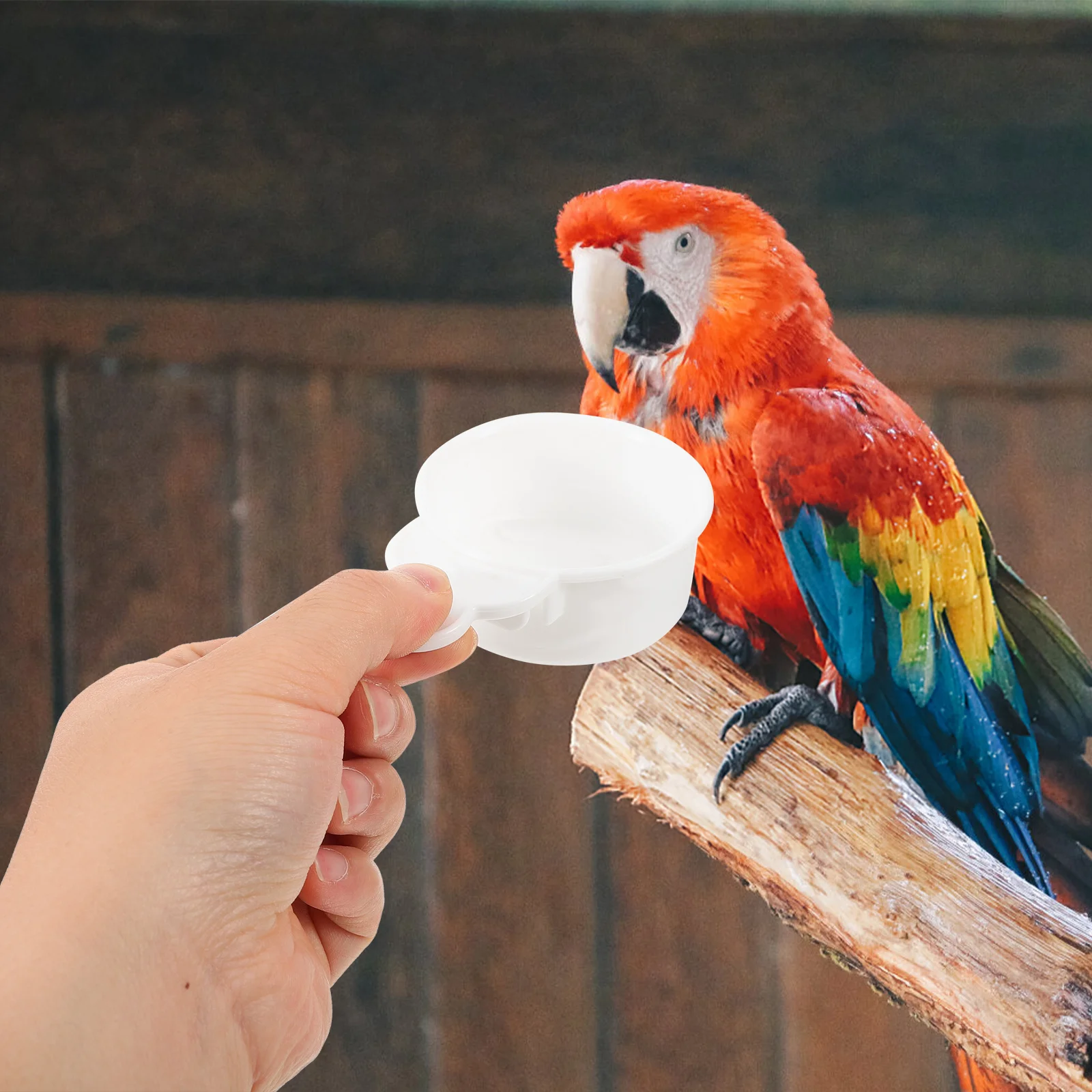 

2Pcs Parakeet Cage Accessories Small Birds Water Dispenser Easy Clean No Waste Feeding Supplies Bird Feeder for Cage