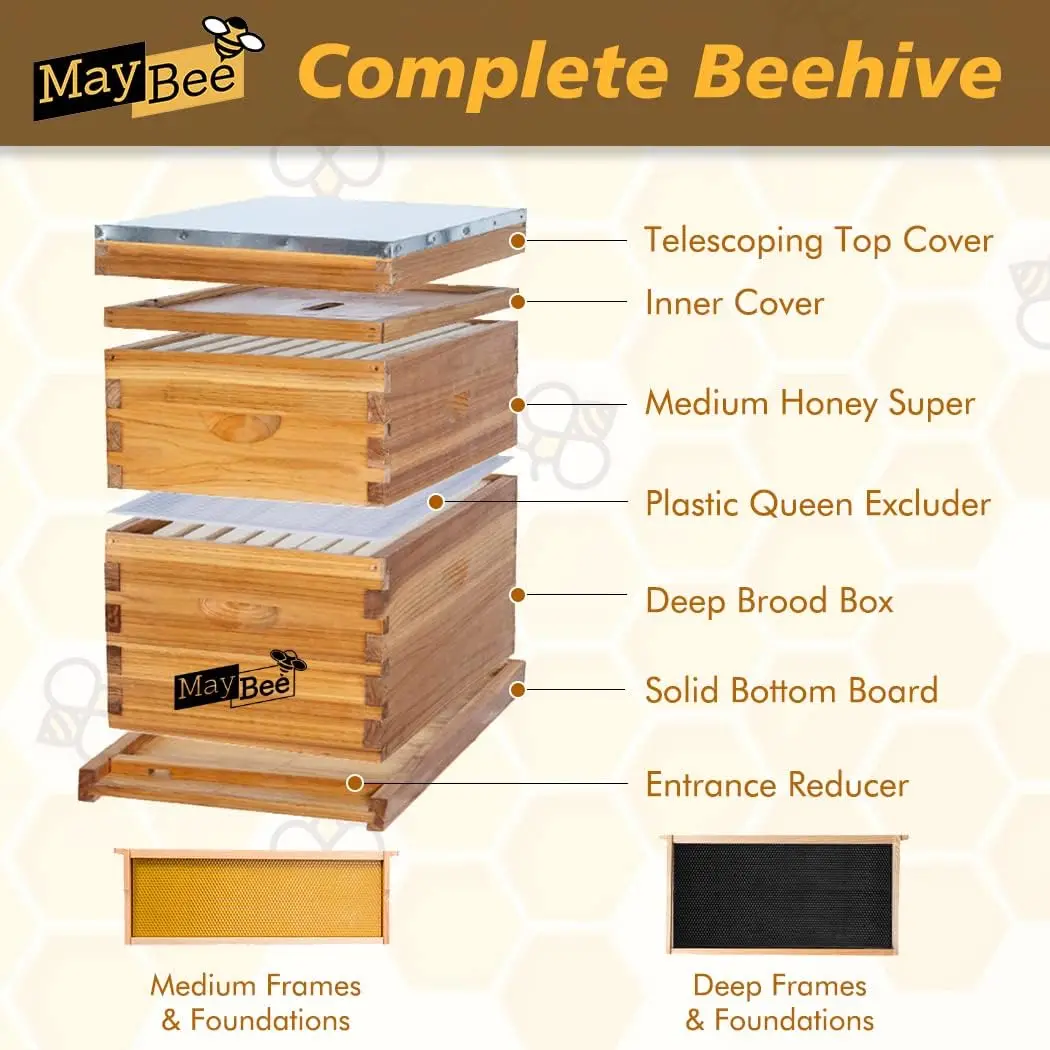 8 Frame Bee Hives Supplies Starter Kit Honey Bee Hive Beginner Includes 1 Deep Bee Boxes 1 Super Beehive Frames Foundation