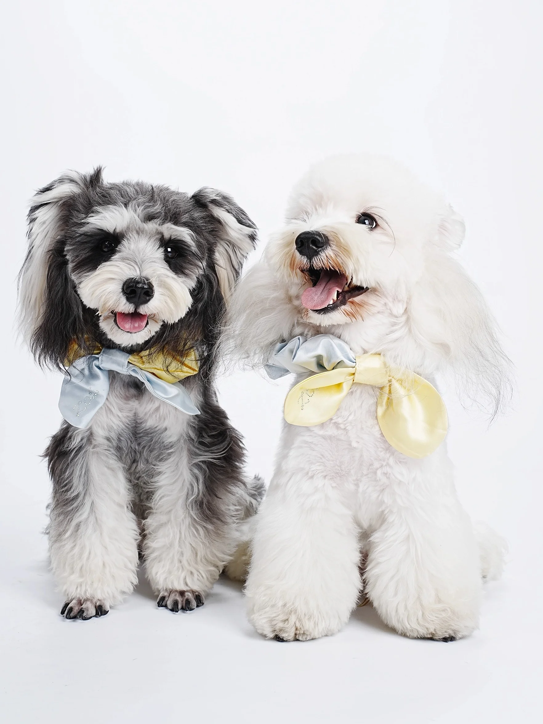 

Защитные чехлы для ушей собак с длинными ушами, дизайн «родитель-ребенок», защита от защемления ушей, многофункциональные аксессуары для животных всех возрастов