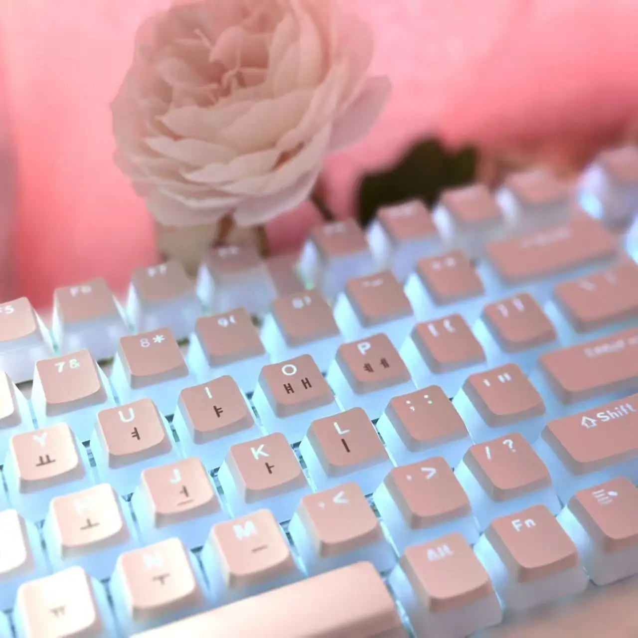 Hangul Keycap Korean Layout Keycap Pudding Keycaps Set PBT OEM Profile For Gaming Mechanical Keyboard for Cherry MX Switch