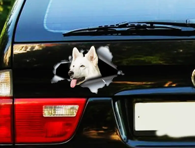 White Swiss Shepherd car decal, Swiss Shepherd magnet, Swiss Shepherd decal,car sticker