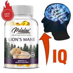 Lion's Mane - Improves Immunity, Energy, Memory and Concentration