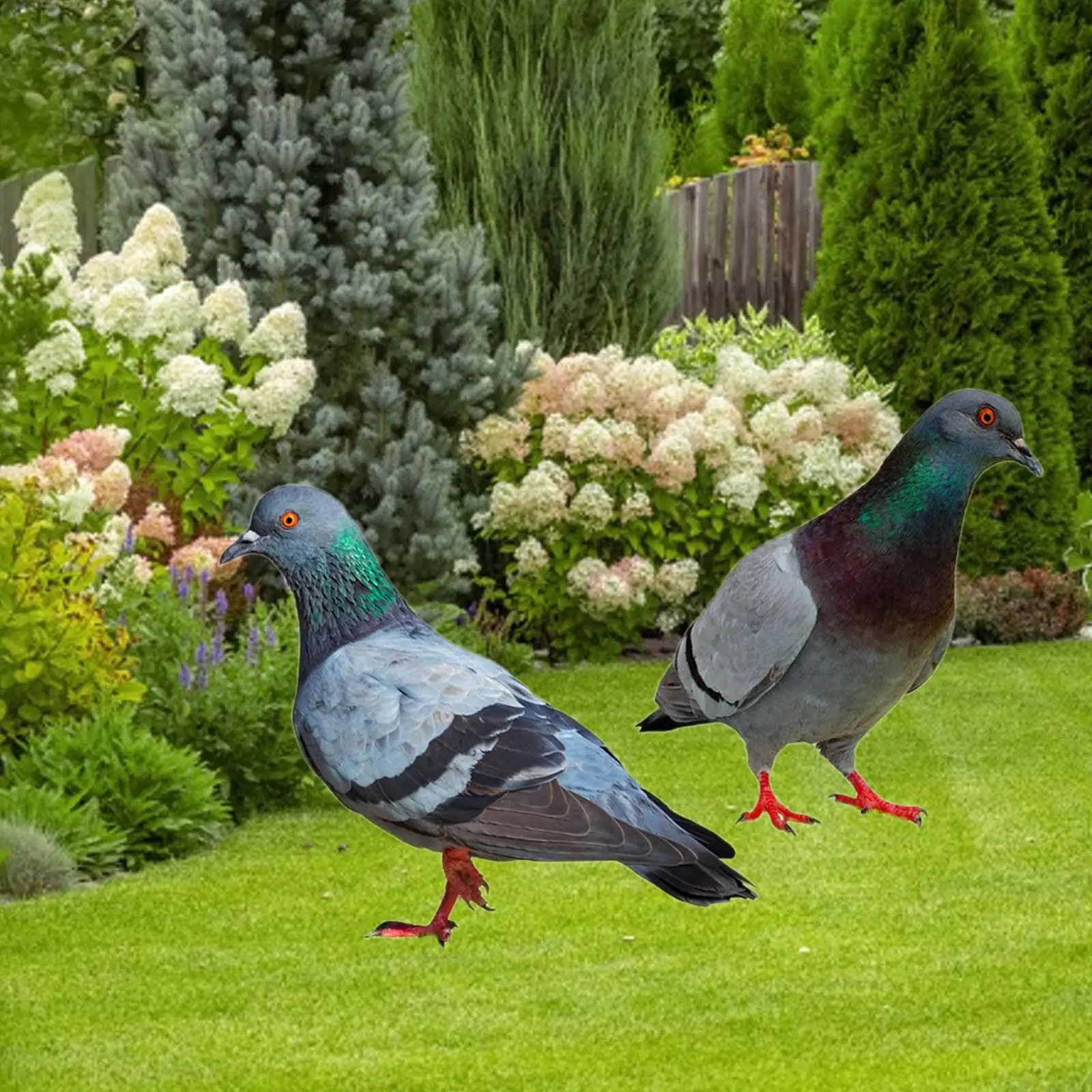 2 Pieces Pigeon Statues Garden Stakes Animal Sculptures for Patio Lawn