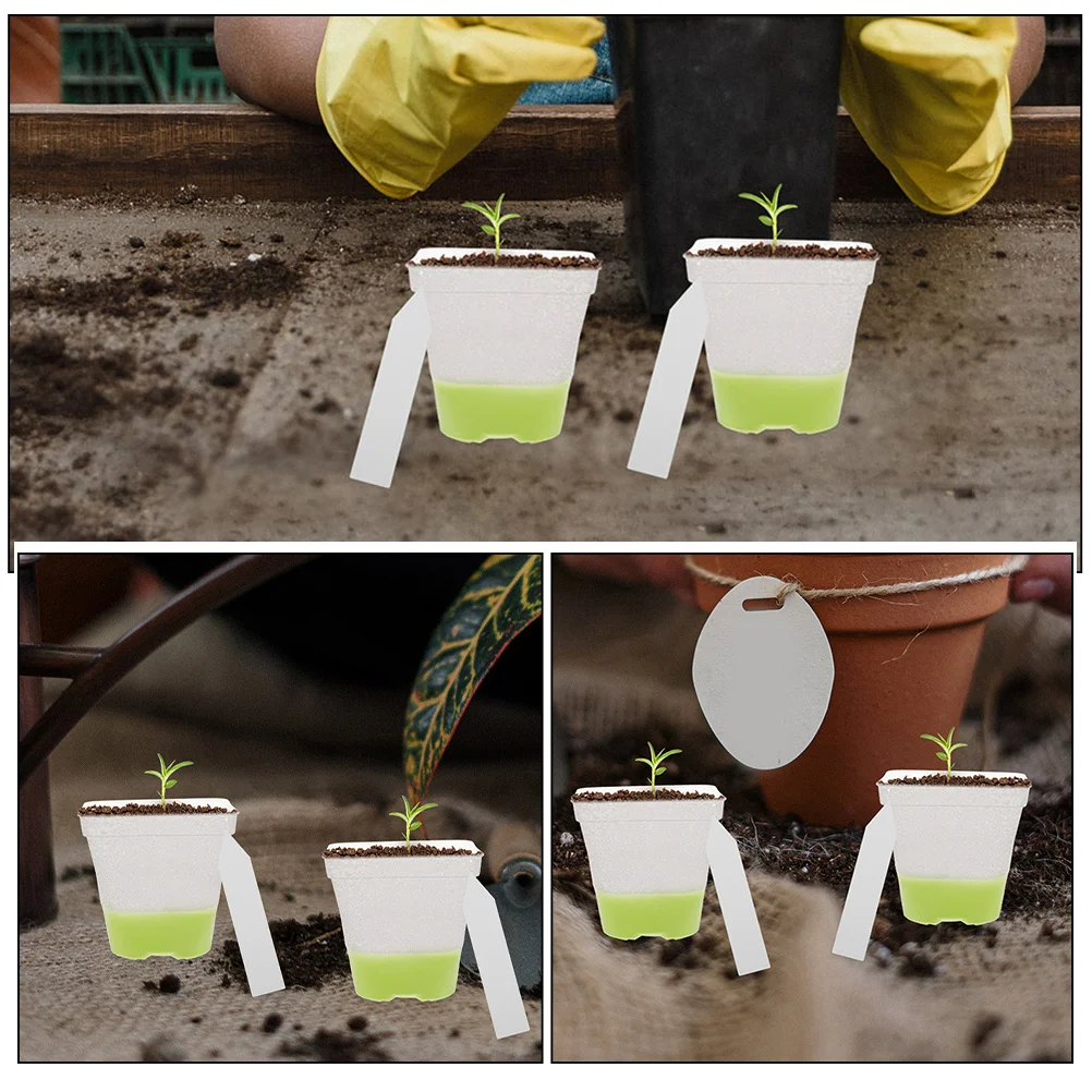 

6pcs Silicone Seedling Pots With Drainage Holes Breathable Flower Planters For Indoor Outdoor Gardening Succulent Planting