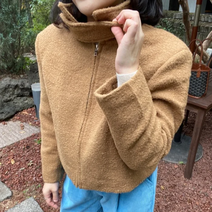 

Женское шерстяное пальто на молнии, осень-зима, новая корейская версия, шикарное элитное пальто, Aosphere Small Fraance Wind