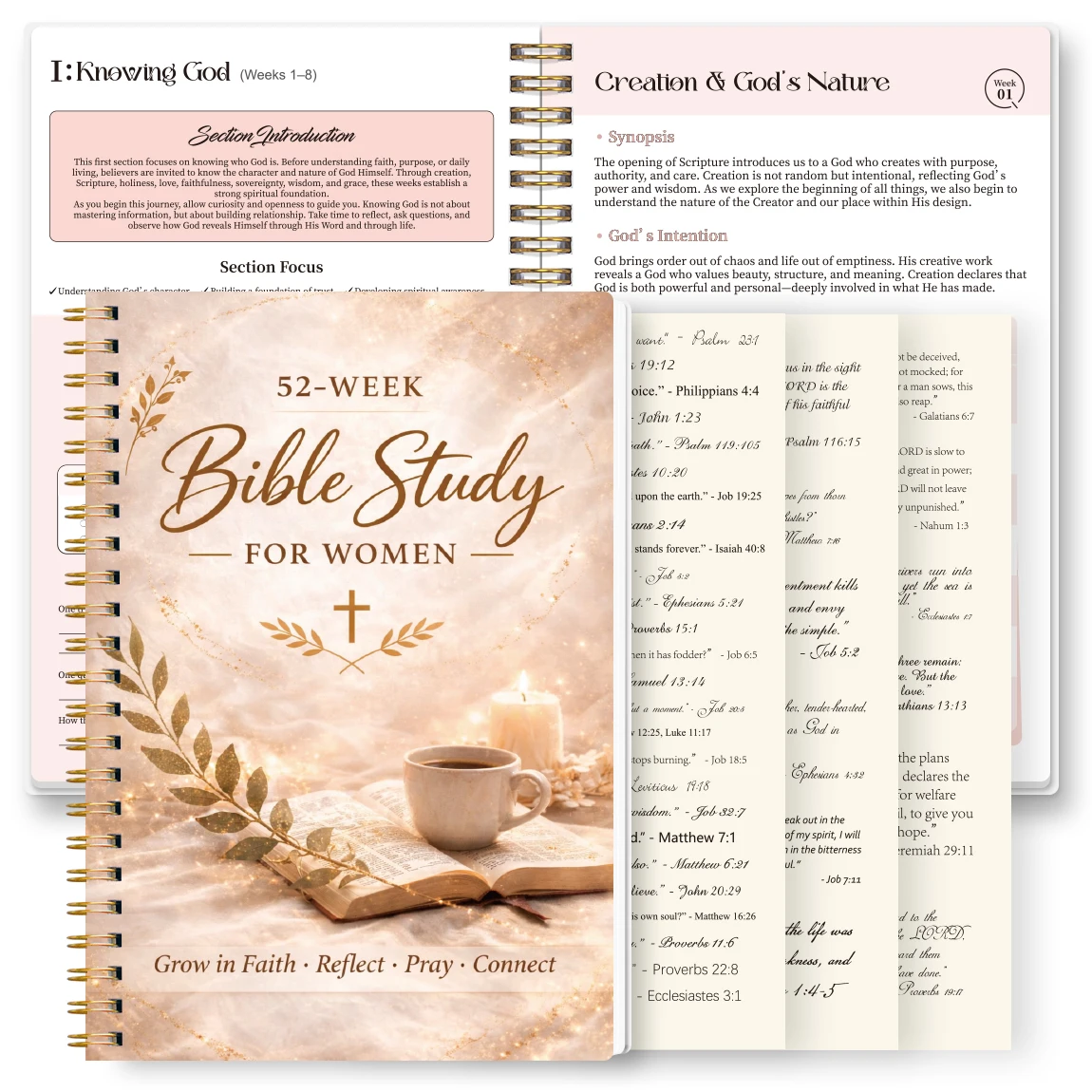 52 Week Bible Study Journal for Women Spiral Bound Faith Planner with Stickers Daily Scripture Reading Reflection