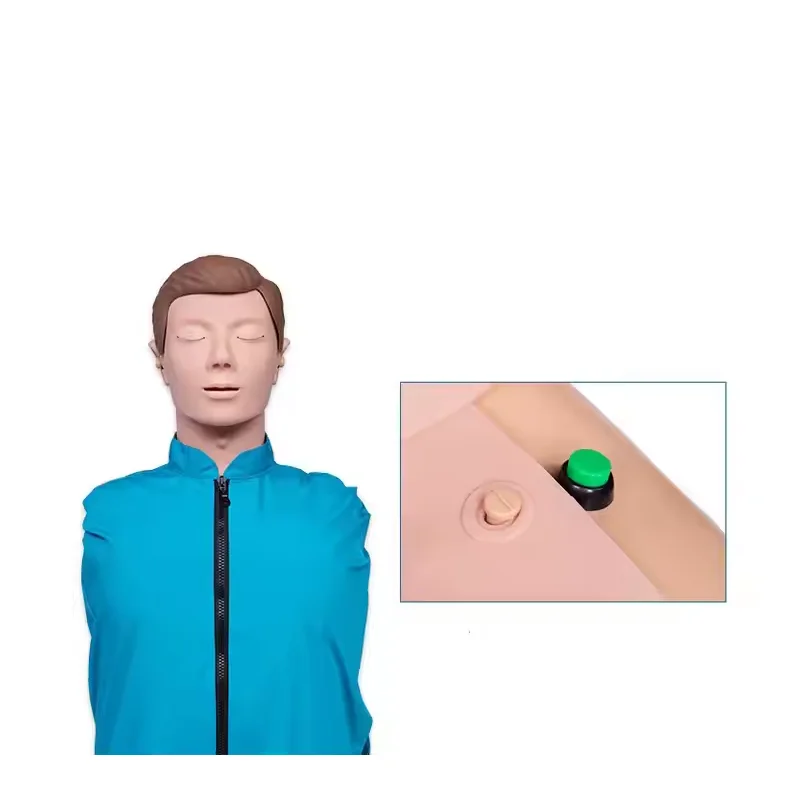 Cardiopulmonary Resuscitation Simulates Human Half Heart Training Resuscitation Artificial Respiration Dummy Teaching