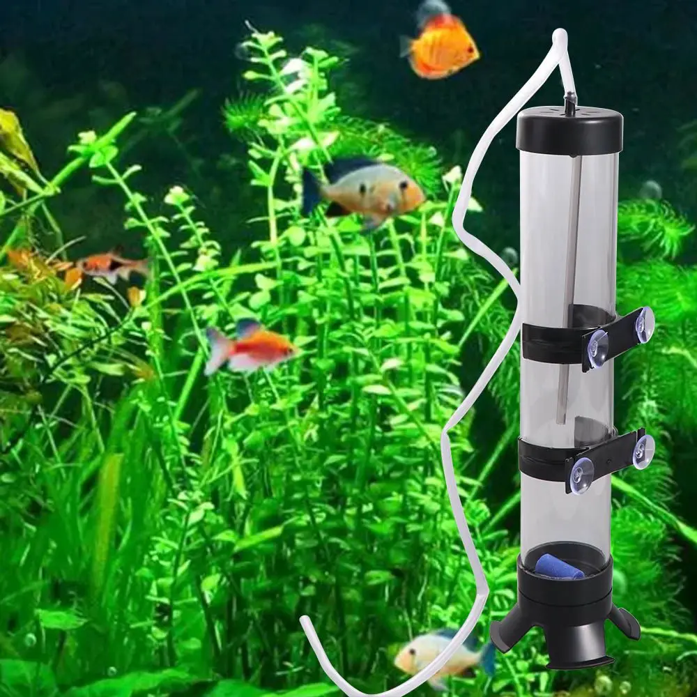 Incubadora de Huevos de Artemia de Plástico, Incubadora de Artemia Extraíble, Incubadora de Camarones para Acuario, Cubeta para Huevos de Peces Anfibios