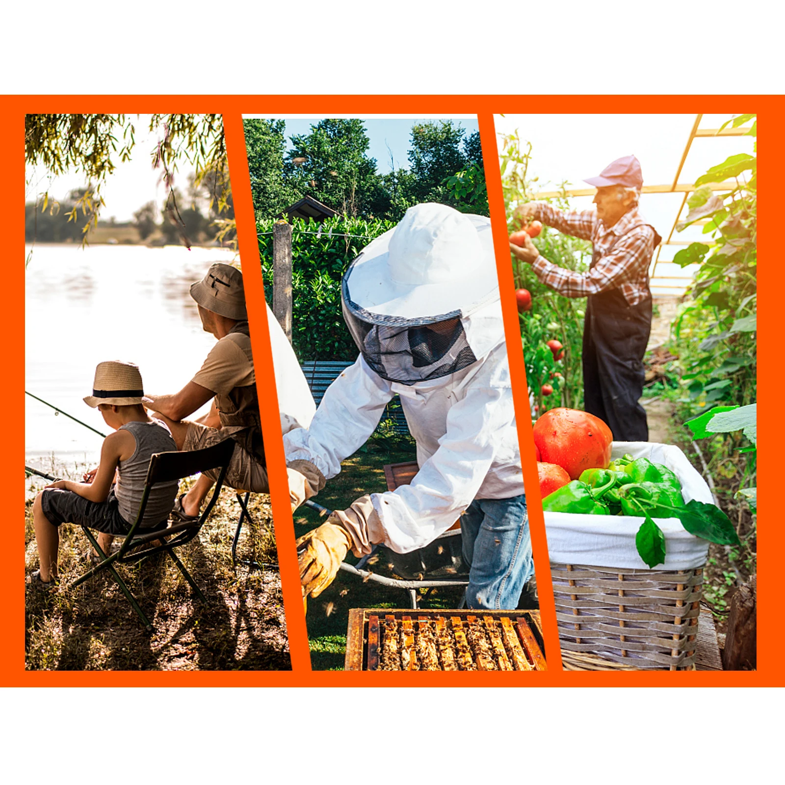 

3 Pcs Mosquito Repellent Hats Breathable Sun Protective Covers Lightweight Fishing Net Insect Proof Durable Nylon Foldable