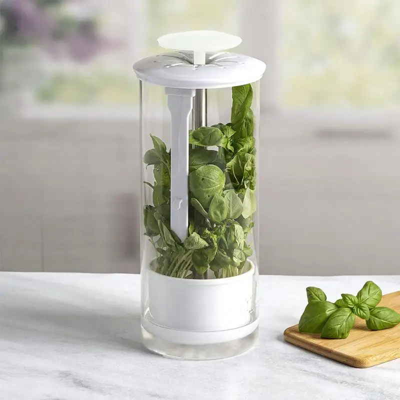 Cilantro Keeper Preserver Green Vegetables Storage Saver For Maximum Freshness Cilantro Organizer Keeper With Ventilation Slot