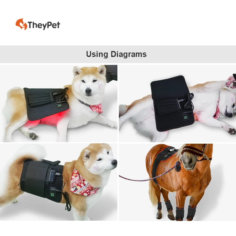 Wearable LED Light Therapy Wrap Horse Pain Relief 660 850Nm Back Recovery Belt Red Light Therapy