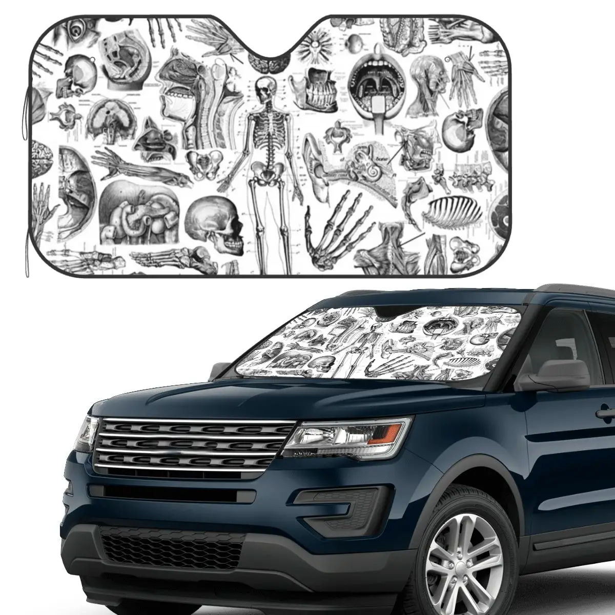 

Анатомия человека, белый принт, солнцезащитный козырек, лобовое стекло автомобиля, переднее лобовое стекло, солнцезащитный козырек, аксессуары, чехлы