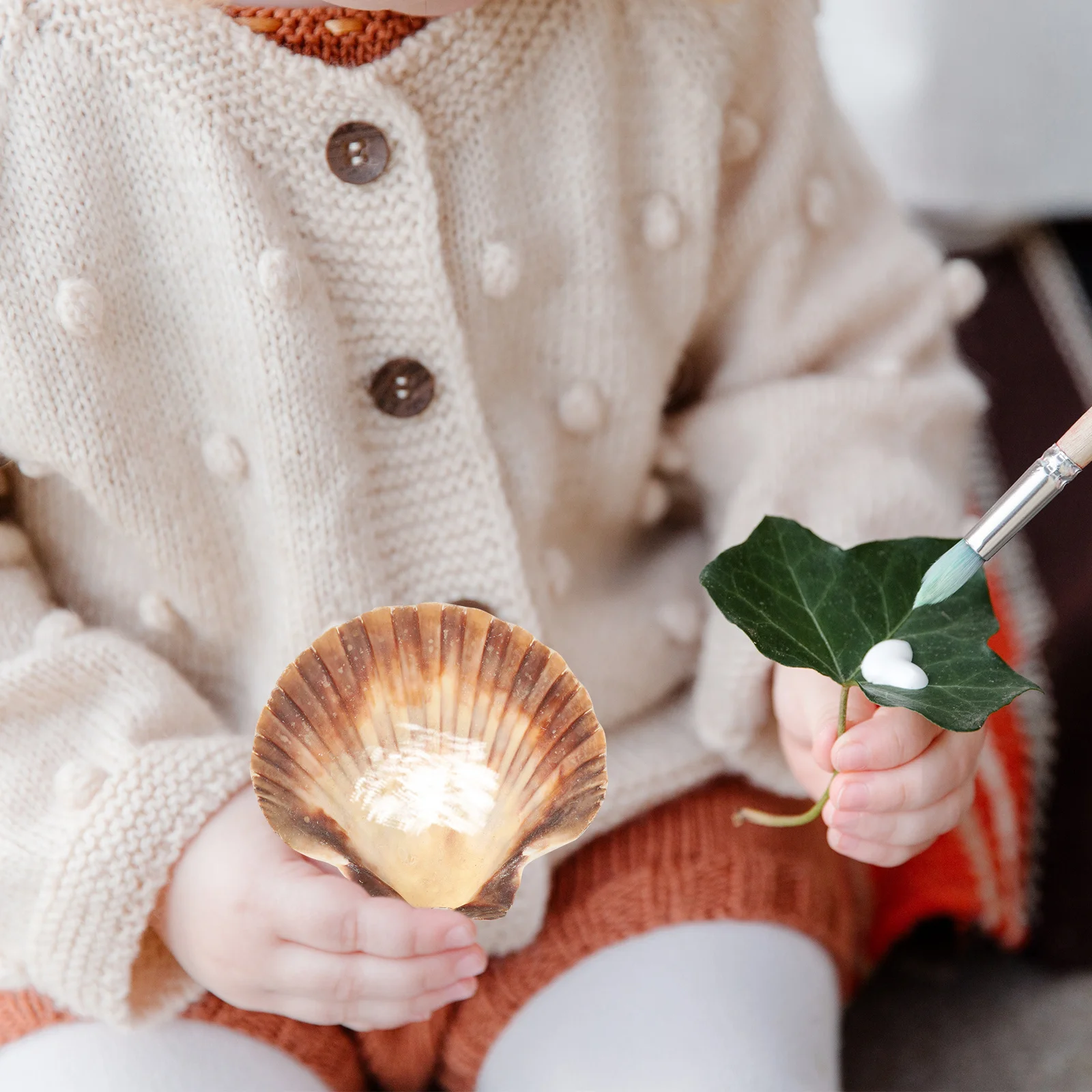 

10Pcs DIY Natural Scallops Shell Decorative Ornament Aquarium Landscaping Fish Tank Decor Seashells for Crafts Making