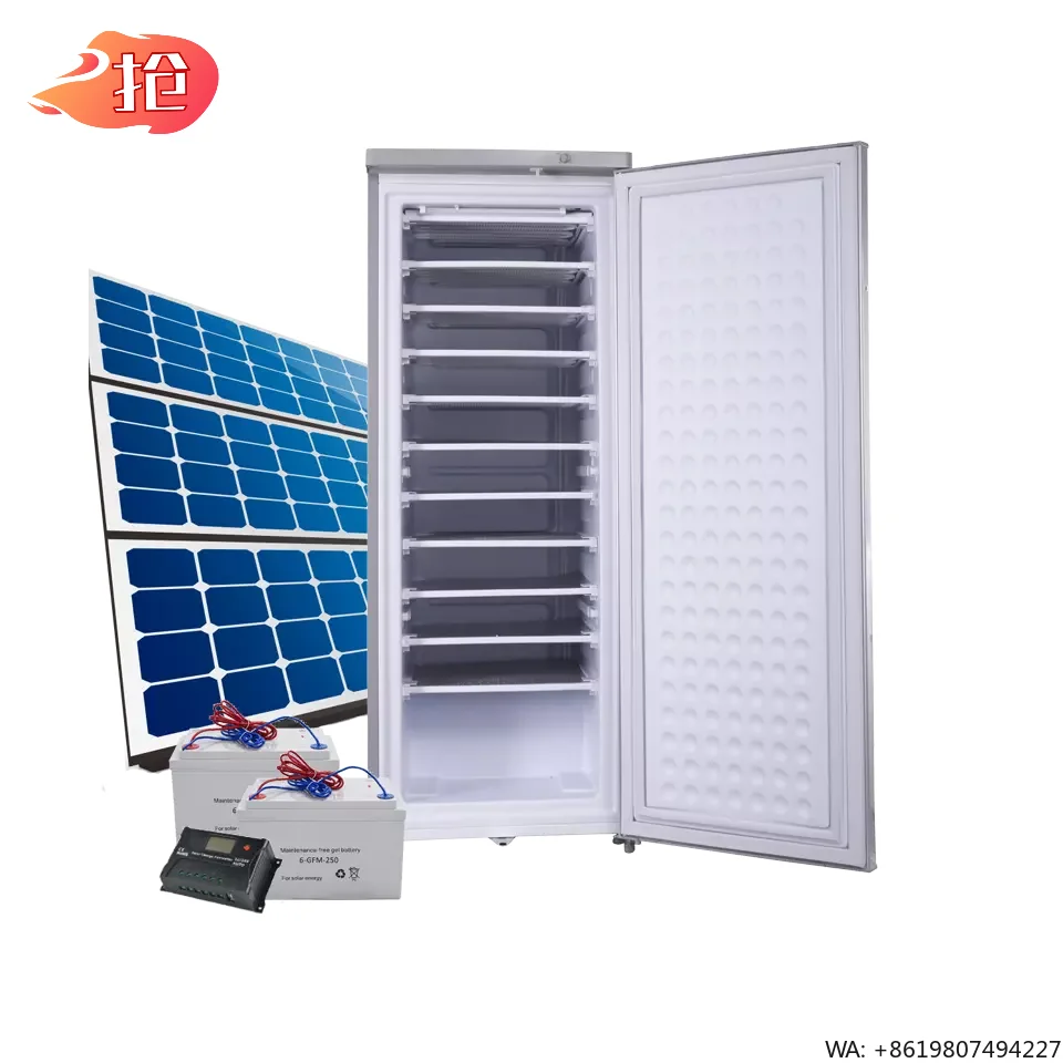 198 Liters Upright Ice Block Freezer with Solar/Battery/Power and 3-Year Warranty MOQ:1pcs