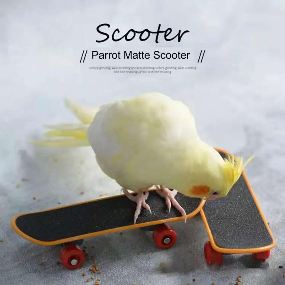 Parrot Scooter Matte Surface Mini Skateboard Parrot Toy Flexible Wheel Bird Training Toy for Budgies