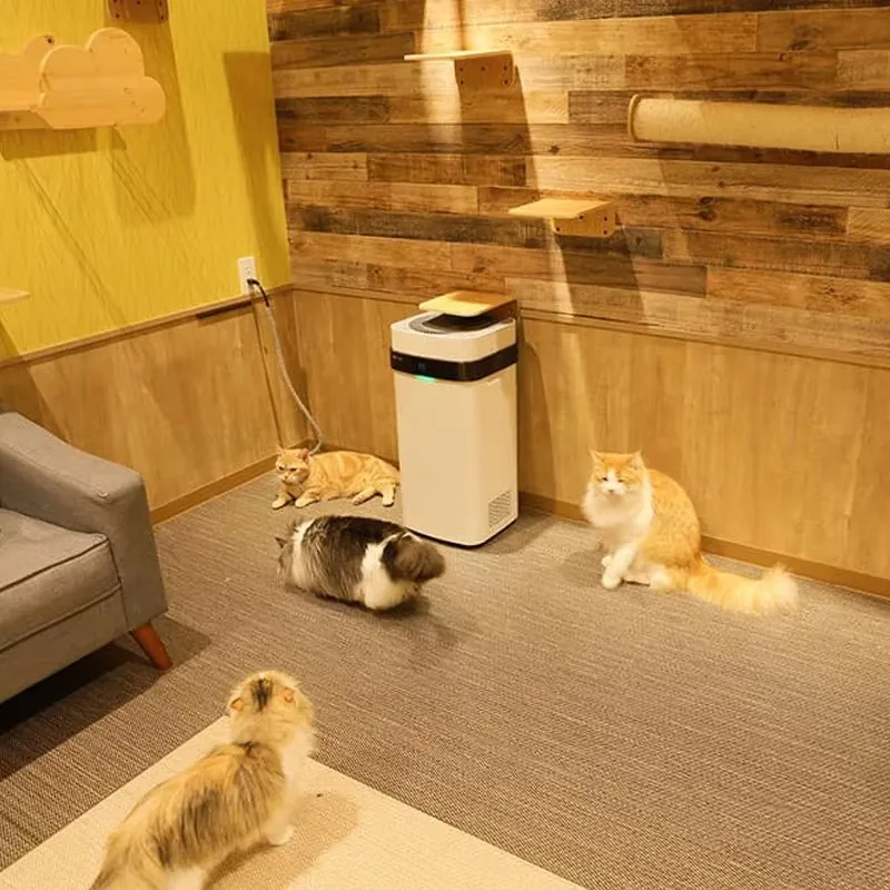 Airdog Purificação Forte Filtro Reutilizável Purificador de Ar para Quarto de Estimação Limpeza de Ar