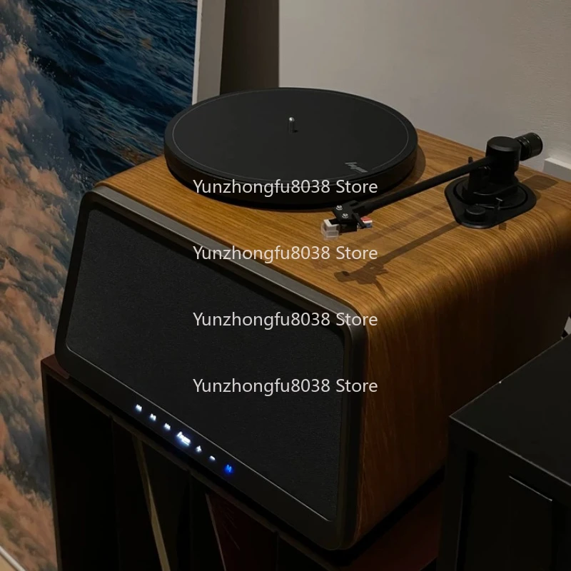 

Vinyl Record Player Bluetooth Speaker, Retro Phonograph, Living Room European Style, Vinyl Record Player