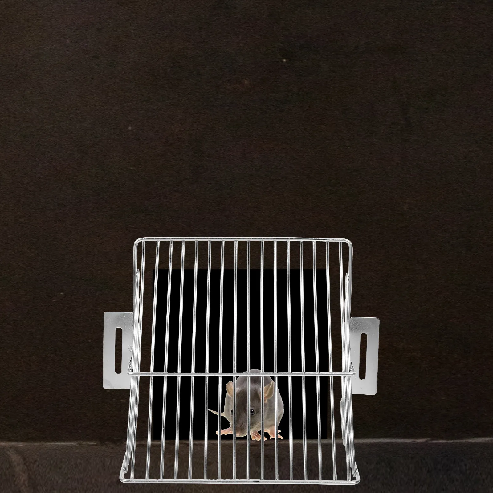 Stainless Steel Roof Drain Filter Cover Anti-Block Roof Gutter Strainer Guard for Rooftop Downspout Debris Leaves Protection