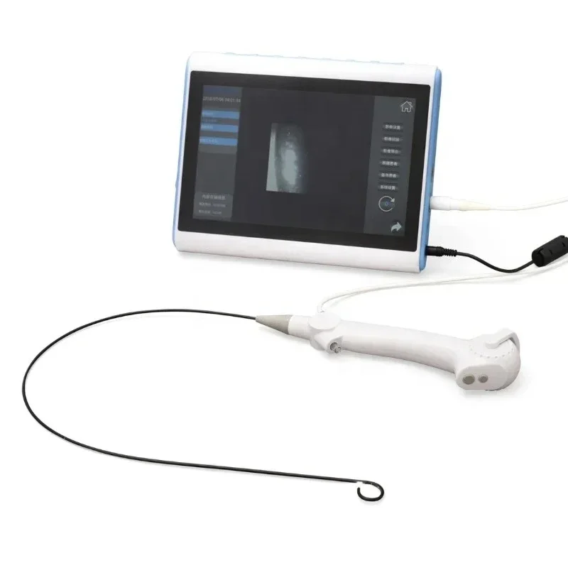 Single use Digital Flexible Ureteroscope with 10 inch Medical Image Processor mon itor for medical surgery endoscopy