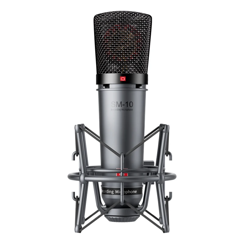 Takstar SM-10 Professional Recording Microphone Home Studio Voice Recording Equipment Condenser Microphones Wired XLR Mic