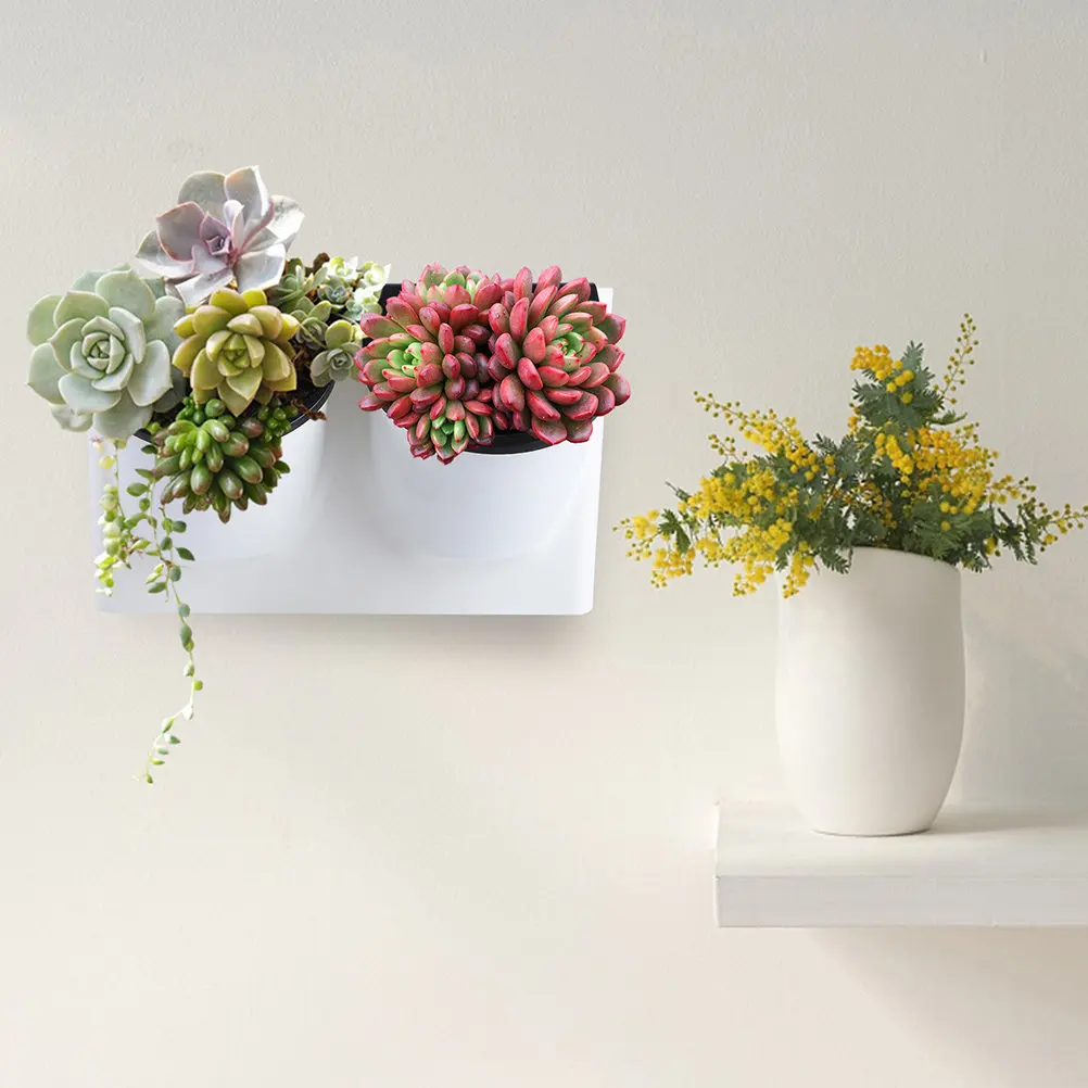 Self Watering Flower Pot Plastic Violet Planter Decorative Indoor Outdoor Automatic Watering Pot for Succulents Bonsai Planting
