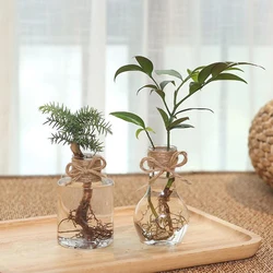 Clear Glass Hyacinth Vase Transparent Flower Plant Bottle Ornaments Garden Decoration Desk Decors Decorative Pots Nordic