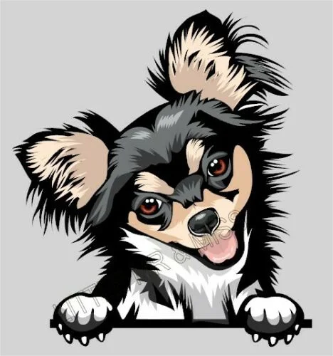 For Chihuahua Peeking Dog Breed Long Hair Colour Window Laptop Sticker