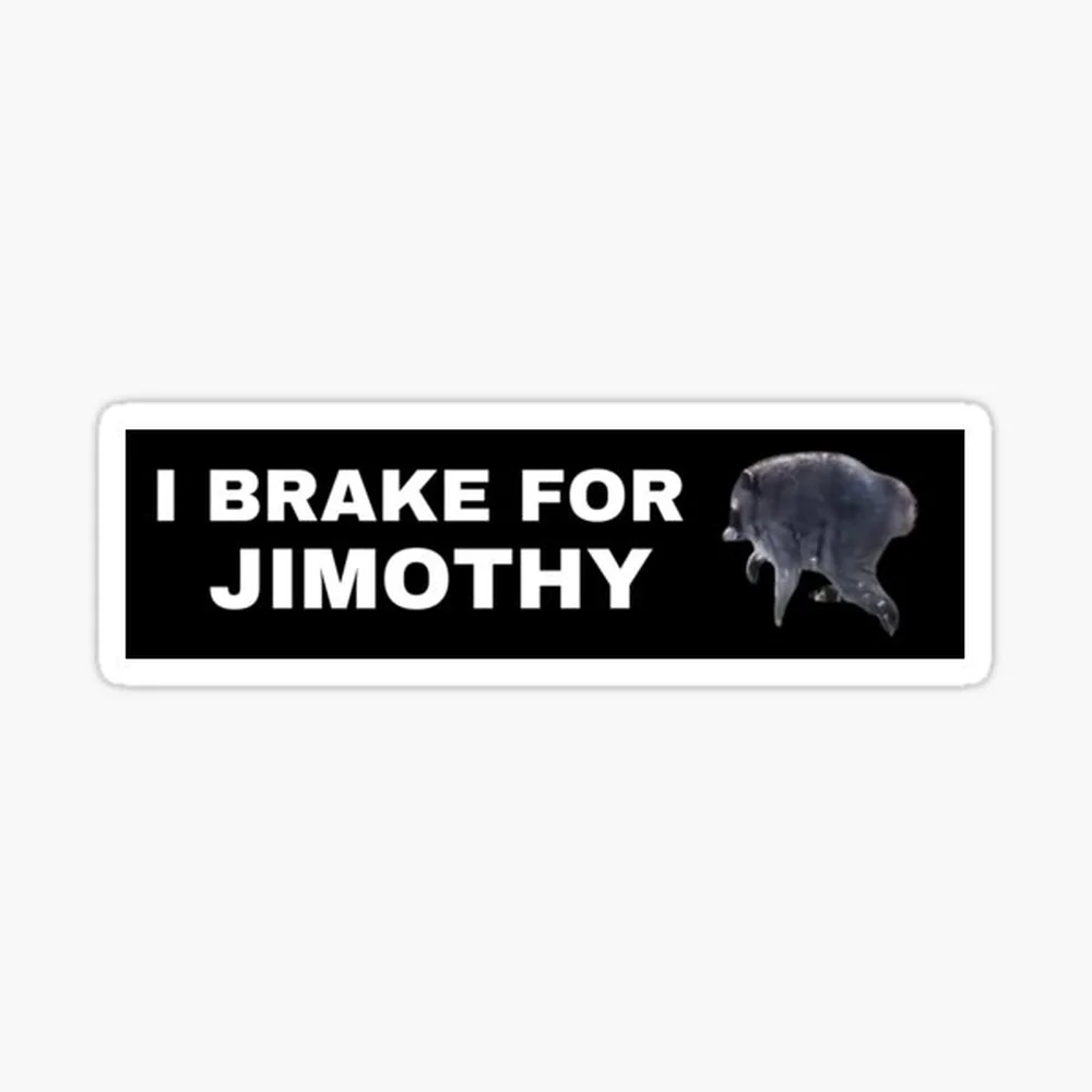 Jimothy the Raccoon bumper sticker Sticker for Laptop Decor Bedroom Car Cute Cartoon Art Fashionable Public Suitcase