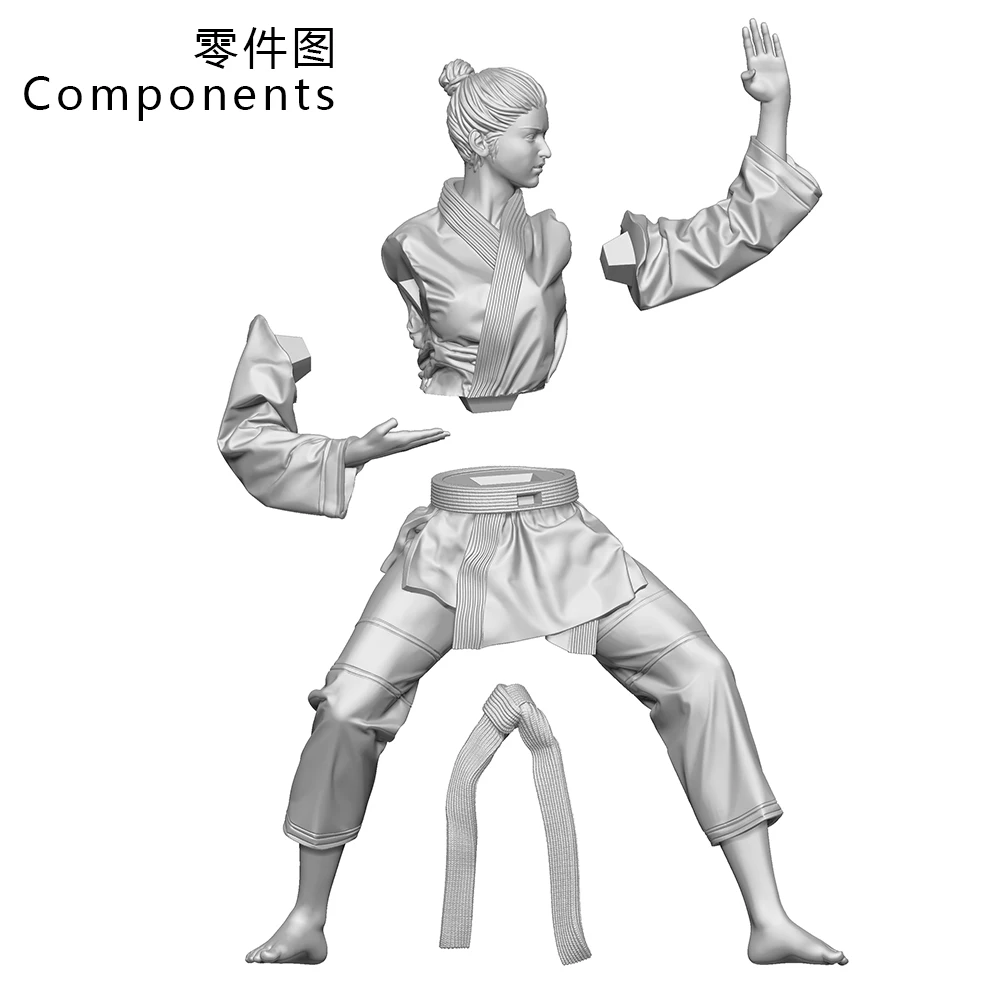 OceanCosmos miniatures, Original, Karate girl, combat sports theme, fighting power, Resin unpainted Model kit figure GK