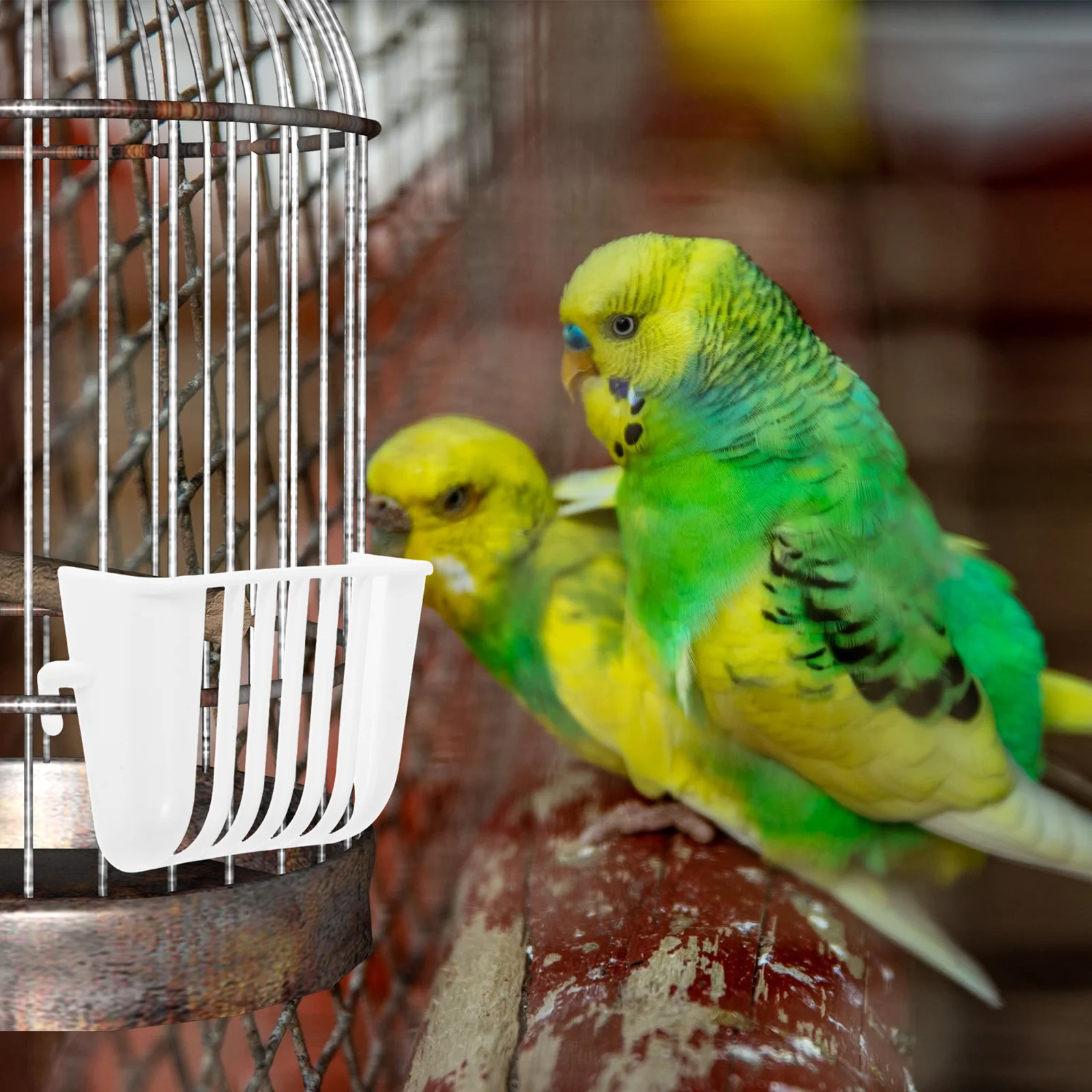 

4Pcs Parrot Vegetable Feeder Basket Easy to Clean Safe Feeding Solution for Small Birds Bird Food Container Parrot Cage Feeder