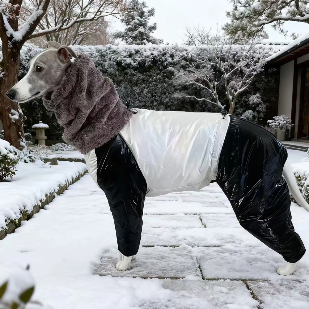 Winterjacke mit 4-beinigem, dickem Pelzkragen für italienischen Windhund, winddicht, wasserdicht, warm, Stehkragenmantel für Whippet-Hunde