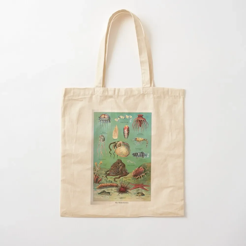 Vintage french biology illustration - Quillet - Vie sous-marine Tote Bag Women's beach bags women bag Tote Bag