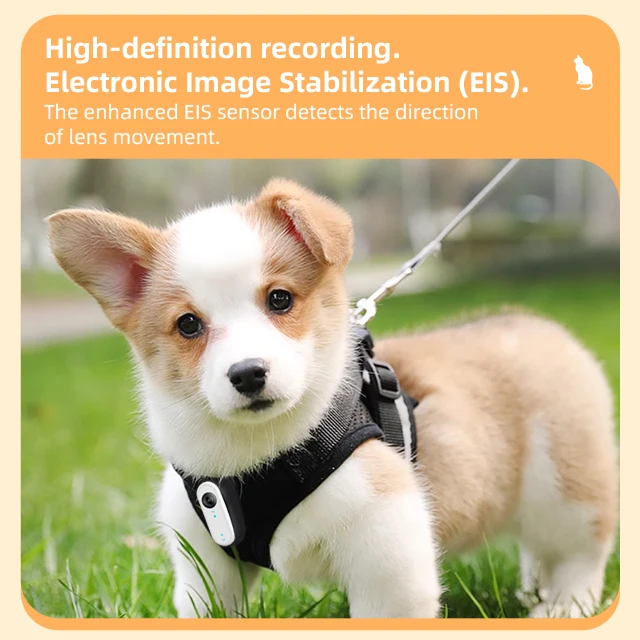 Mini Wireless Cat Collar Camera 1080P HD Magnetic Motion Sensor Pet Camera with Phone APP