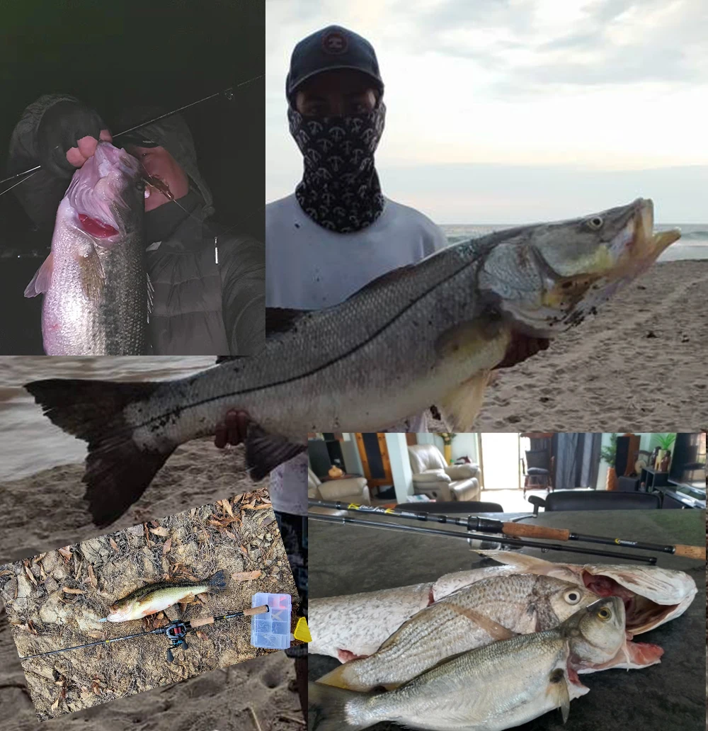 BIUTIFU Spinning Casting Fuji Angelrute 1,8/2,1/2,4/2,7/3,0/3,3m T800 Carbon 2 Spitzen ML/M/MH/H Köder 5-80g Reise-Baitcasting-Rute – Detail 2