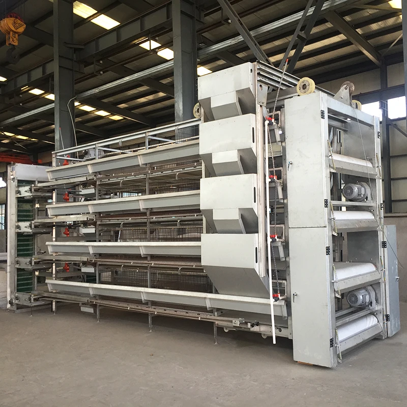 Complete Automatic Layer Chicken Raising Equipment Battery Cage with Auto Egg Collecting Machine and Auto Manure Cleaning Belt
