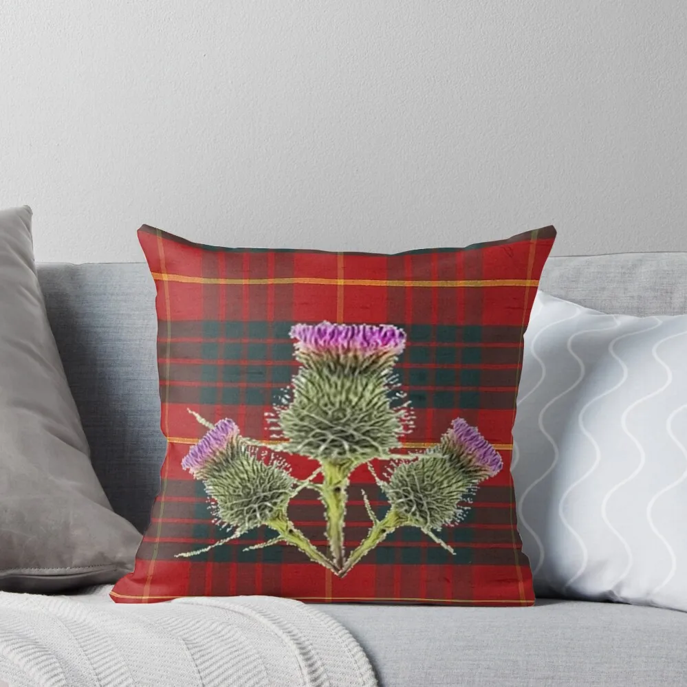 SCOTTISH THISTLES ON CAMERON CLAN TARTAN Throw Pillow Decorative Pillow Covers For Sofa Couch Pillows